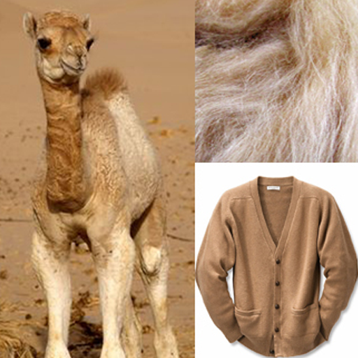 Spotlight on Yarn: Baby Camel Hair | ÉRIBE – ERIBÉ | Knitwear