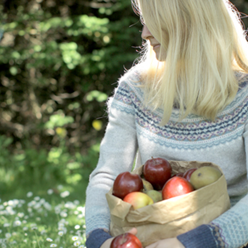 Spotlight on Technique: Fairisle