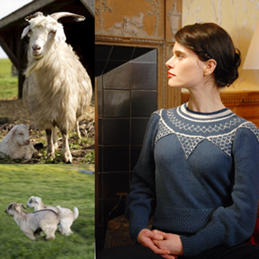 Spotlight on Yarn: Cashmere