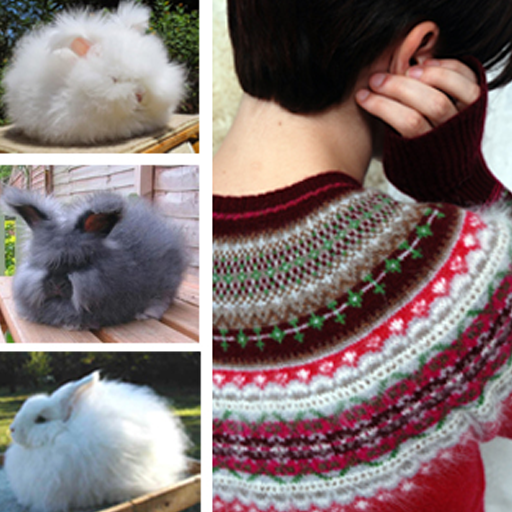 Spotlight on Yarn: Angora