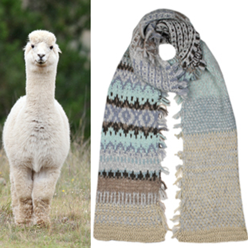 Spotlight on Yarn: Alpaca