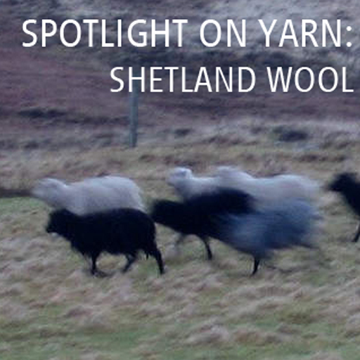 Spotlight on Yarn: Shetland Wool