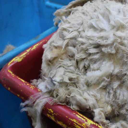 Yarn Stories: The Journey Behind Every Stitch