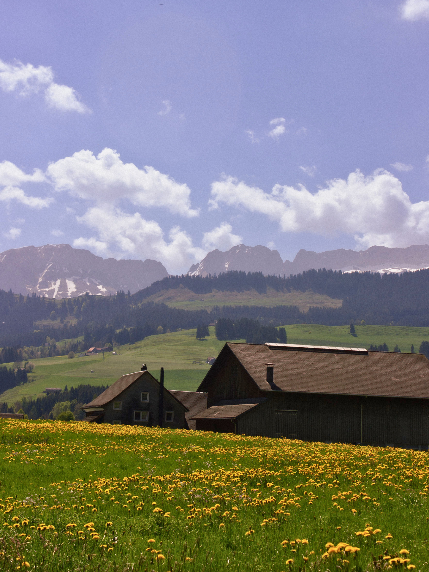 Rosy & Dougie's Travels: Hutwill, Switzerland