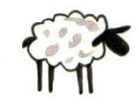 wool